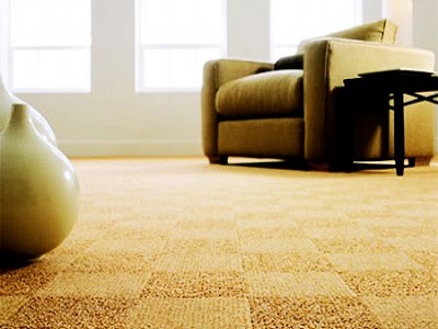 Hal Yang Paling Mudah Buat Karpet Kotor